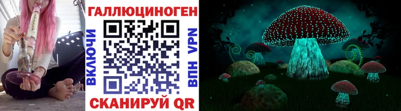 Псилоцибиновые грибы Psilocybe  Купить где  Владивосток 