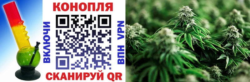 Купить где Владивосток Шишки марихуана индика